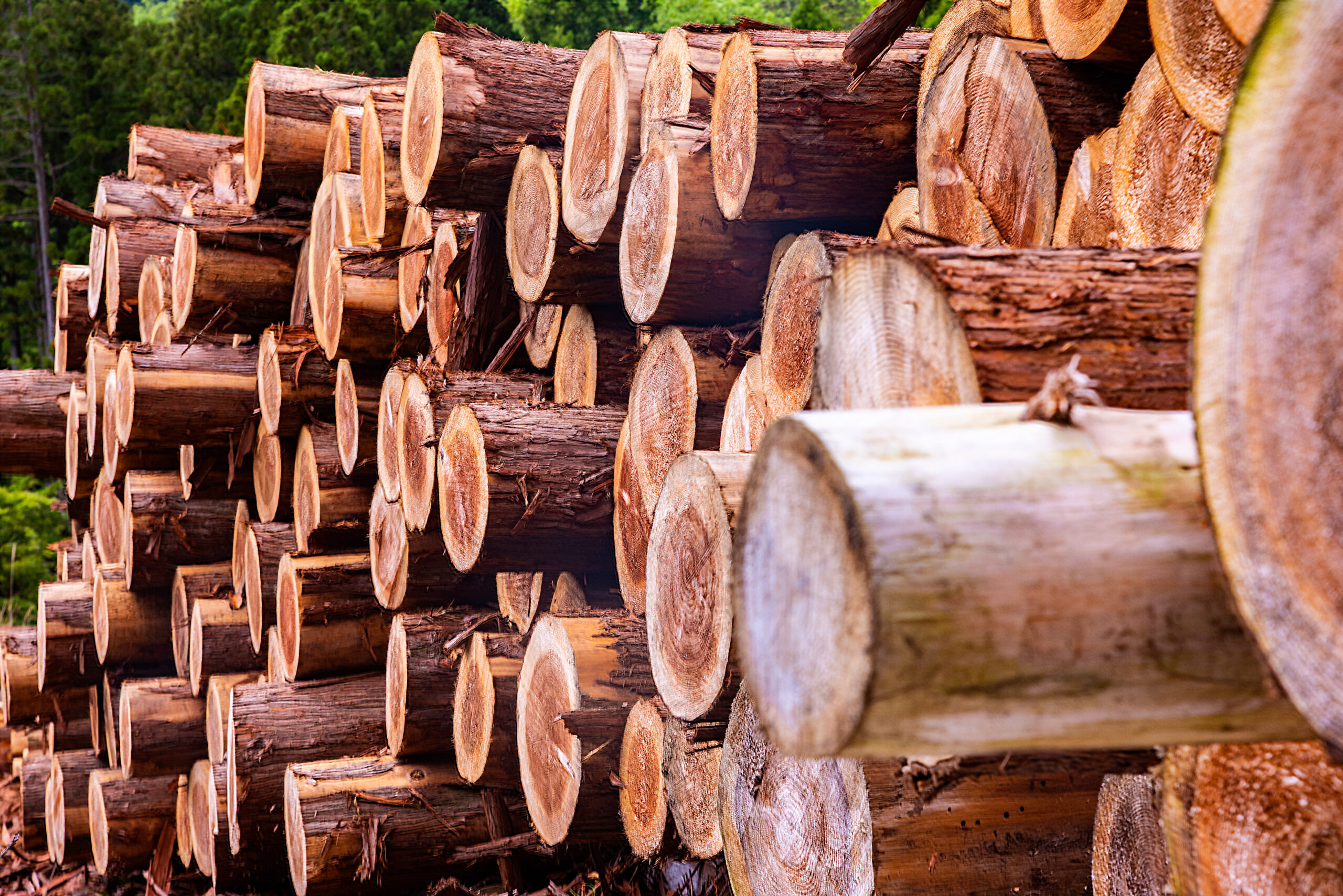 セルロース変性品（CMC・HEC・HPMC） | 三晶株式会社 Sansho Co., Ltd.