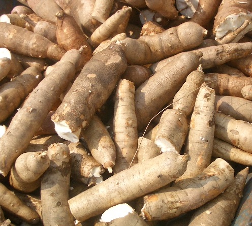 Starch